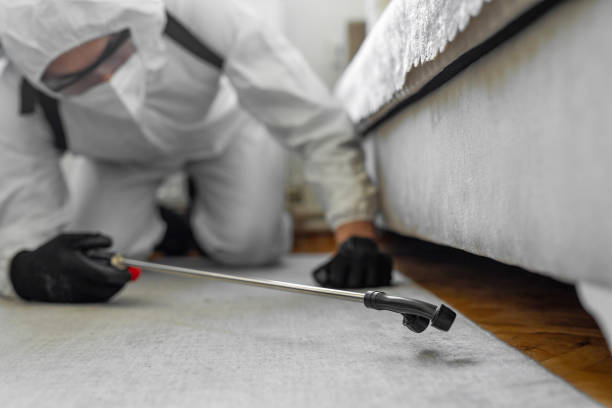 Professional Termite Control technician working in White River Junction, VT