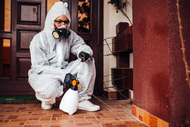 Reliable Termite Control contractor in White River Junction, VT by Nex Pest Control