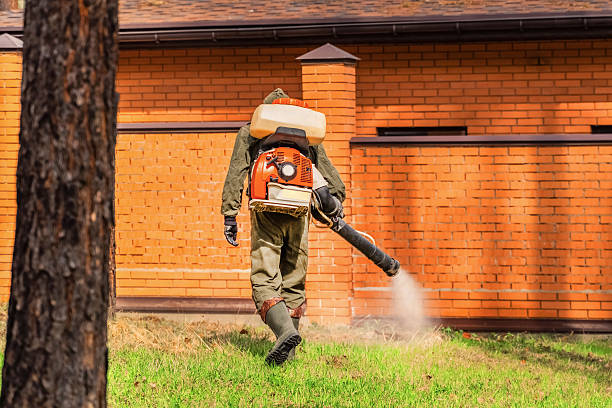 Top rated local Termite Control specialists in White River Junction, VT